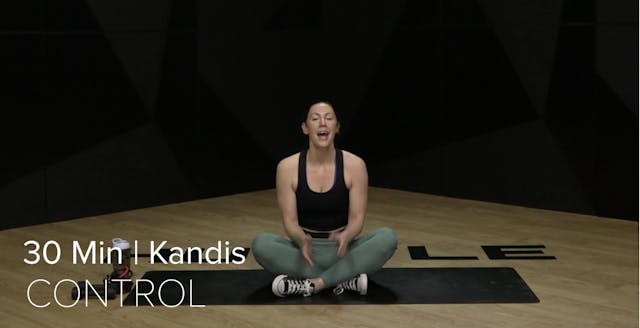 17- CONTROL WITH KANDIS (30 MIN)