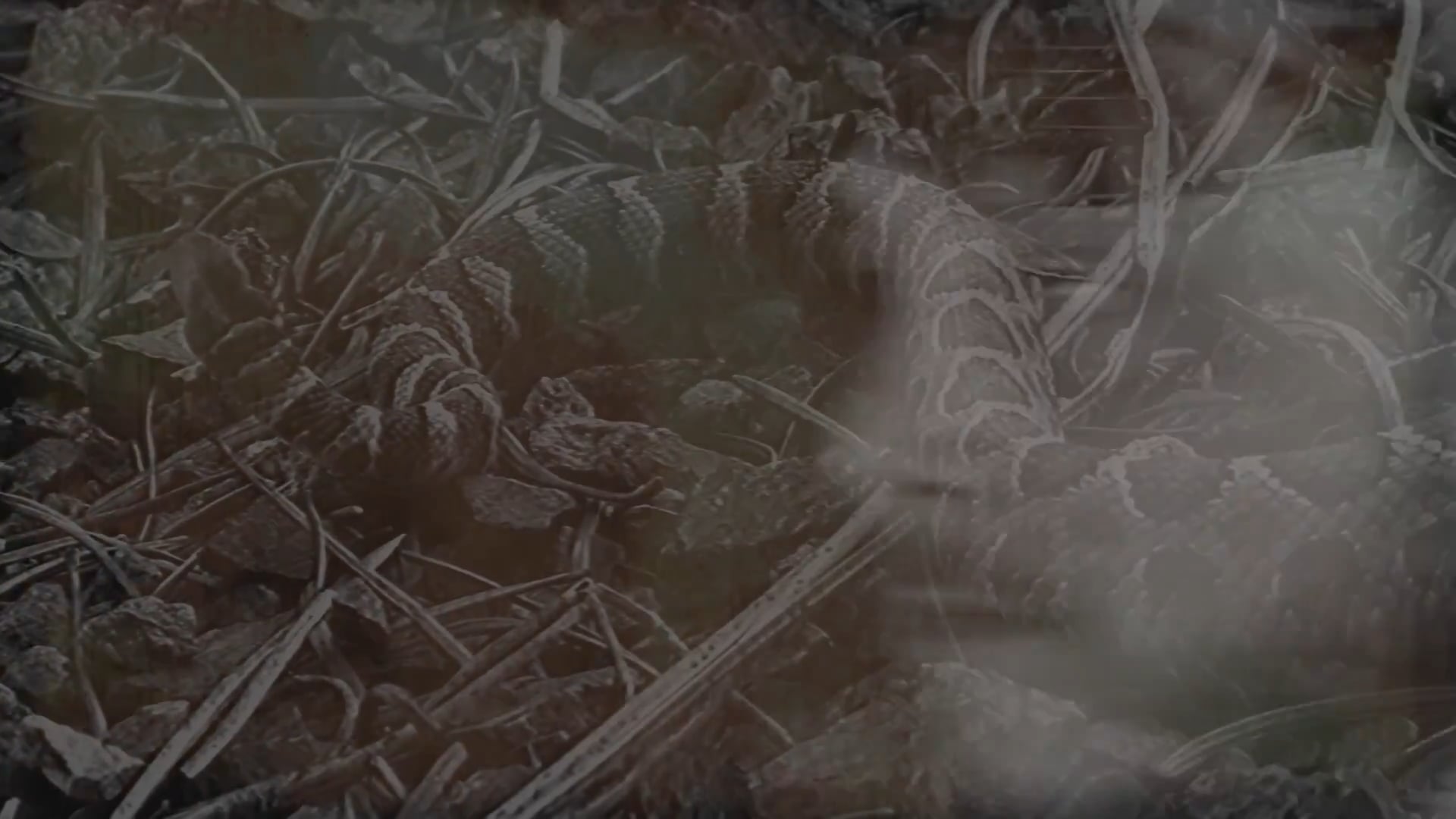 Eli Brooklyn feat. Paul Marz Matty J- System Error 