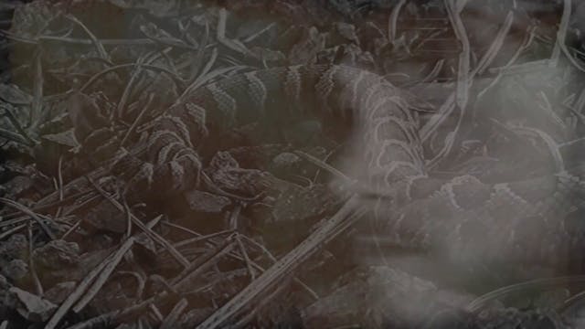 Eli Brooklyn feat. Paul Marz Matty J-...