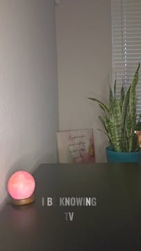 Your biker ex and his boyz will face ...