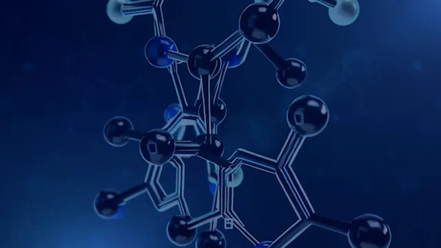 ICAN-IQ Nov25 - Modulo 3 - Sistema endocannabinoide