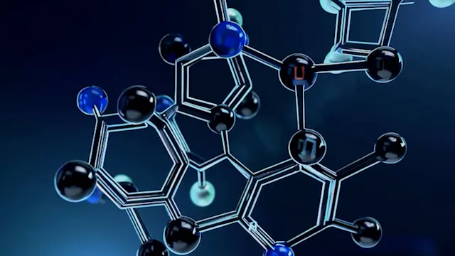 ICAN-IQ Nov25 - Modulo 8 - ECBoma