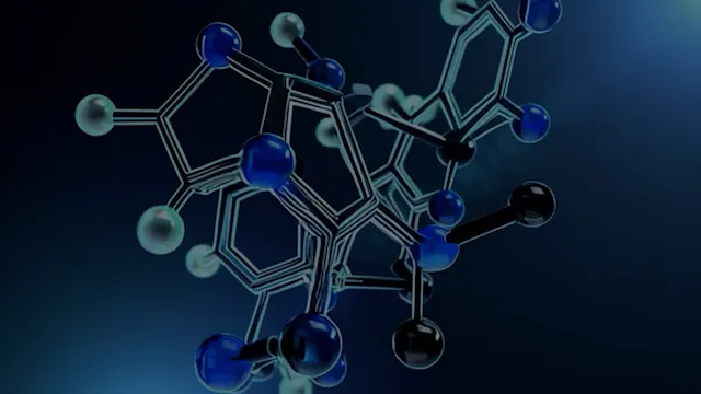 ICAN-IQ Nov25 - Modulo 6 - Fundamento...