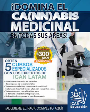 6 cursos especializados con los expertos de ICAN