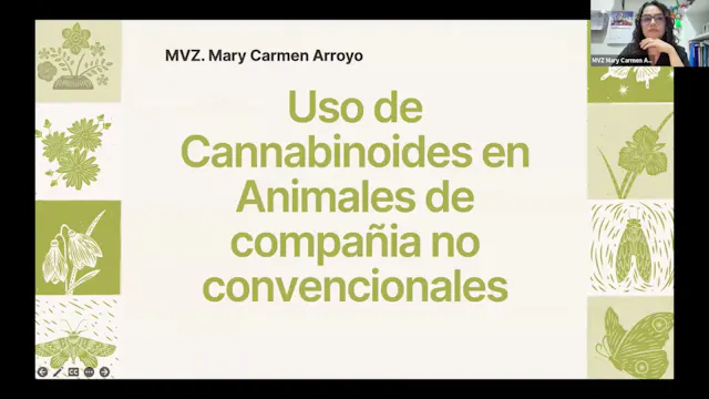 Uso de cannabinoides en animales de compañía no convencionales