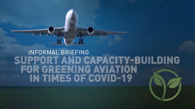 Support and Capacity-building for Greening Aviation in Times of COVID-19