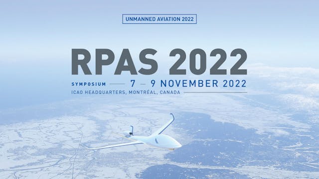 Lessons Learned from the RPAS Panel, ...