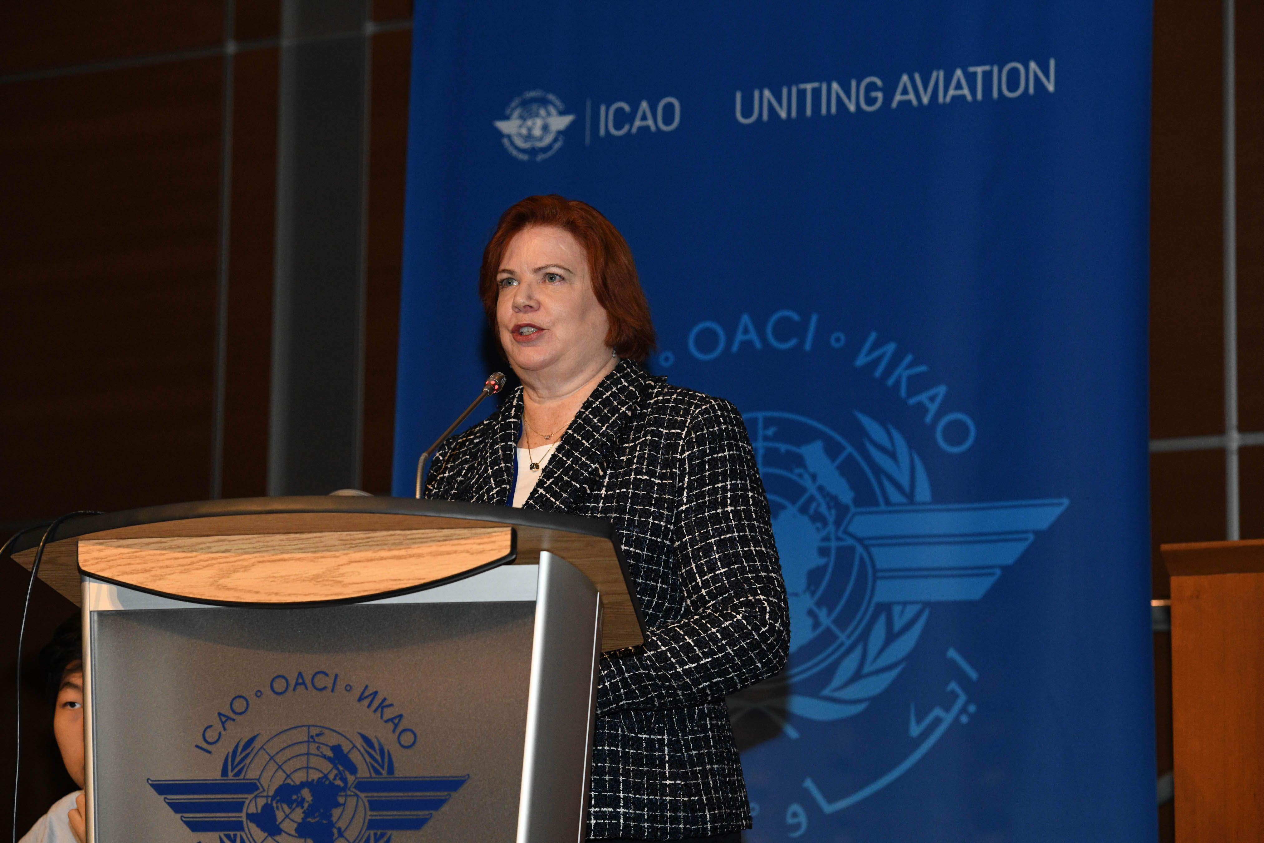 Welcome Remarks and RPAS Programme