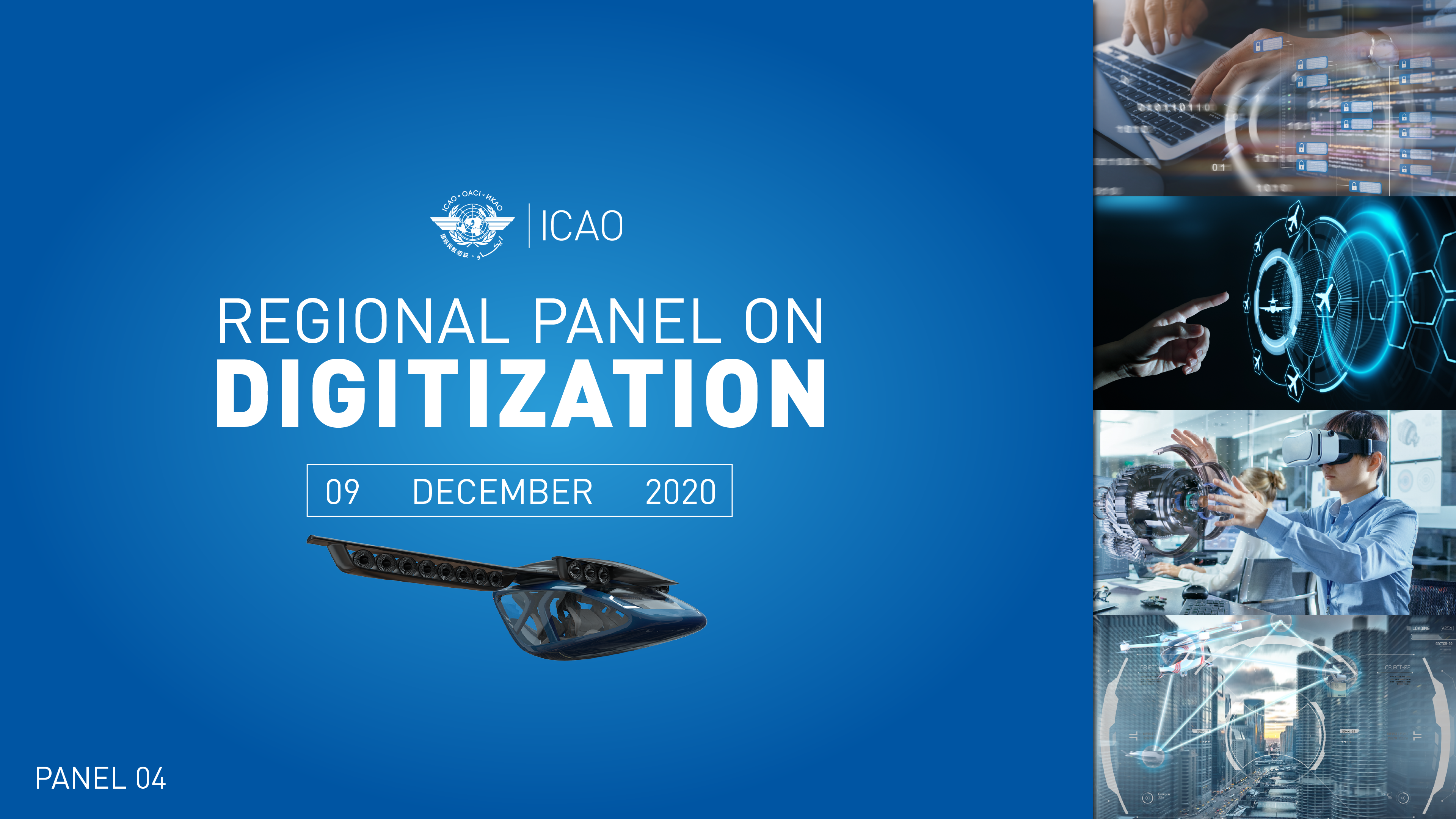 Regional Panel on Digitization (SAM)