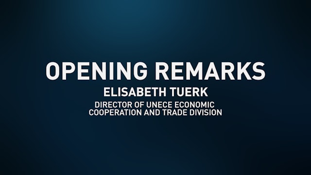 Opening Statement: Elisabeth Tuerk (PDF)