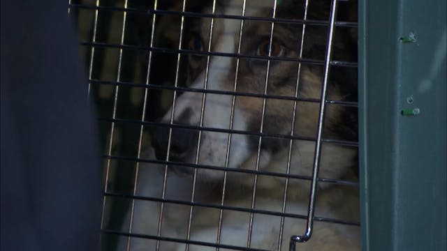 Ice Pilots Season 2, Episode 7 “The F...