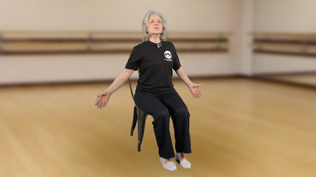 Seated Exercise for Gait