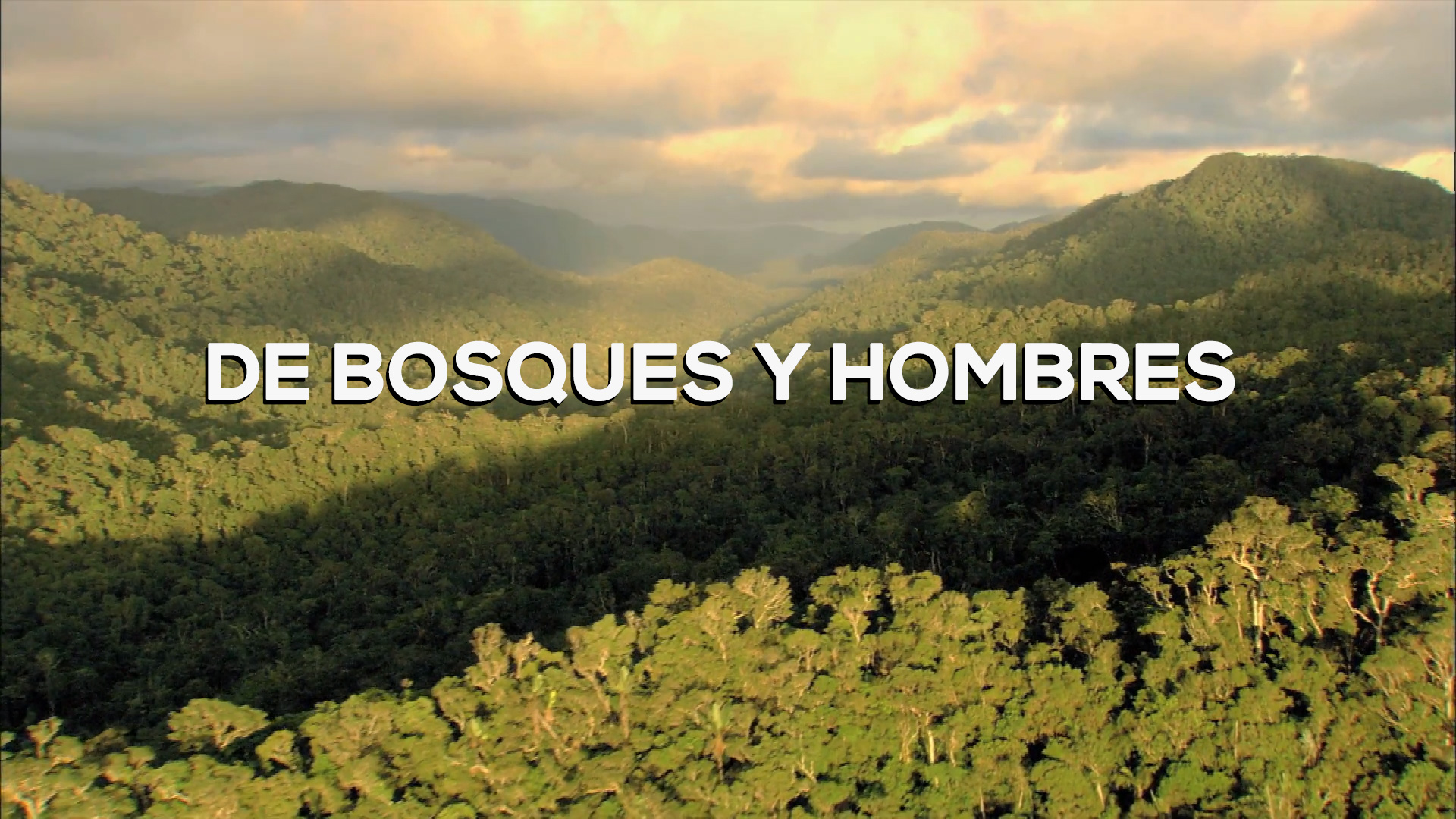 De Bosques y Hombres