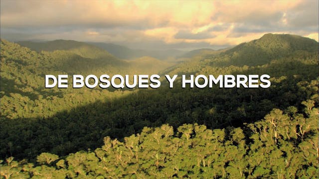 De Bosques y Hombres