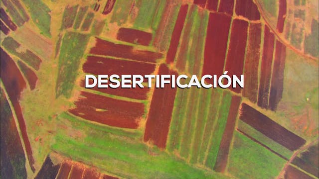 Desertificación