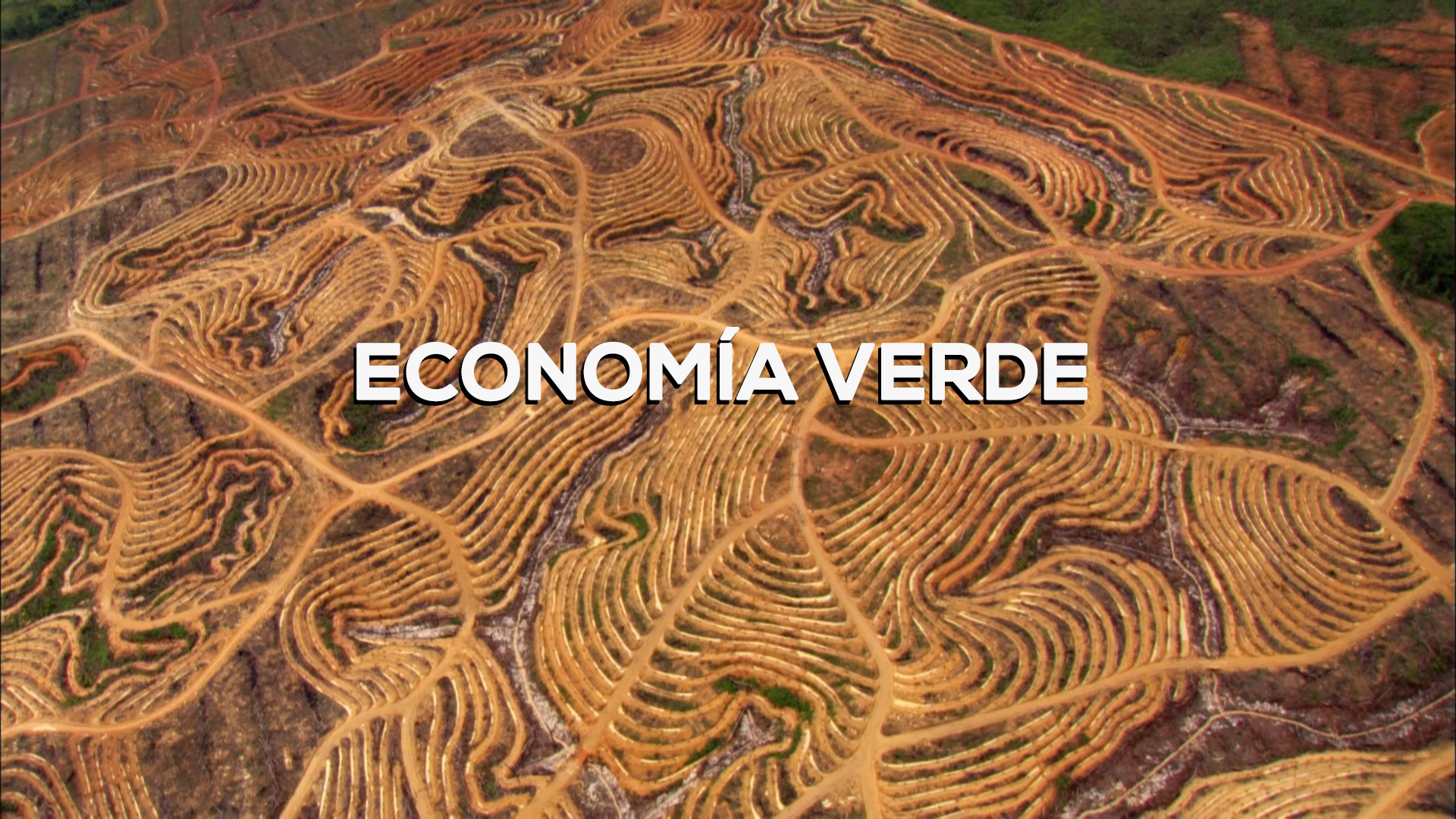 Economía Verde