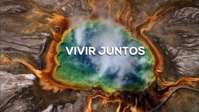 Vivir Juntos