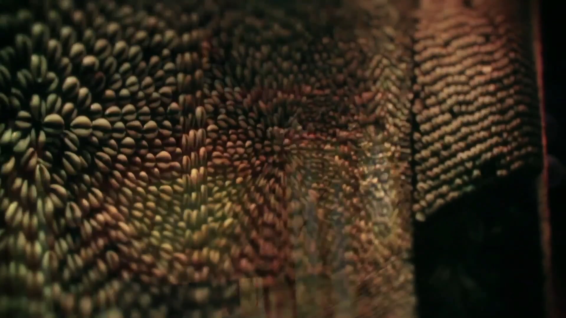 AHWJCD SSN11 SHAKA ZULU RESTAURANT&BLOGGER