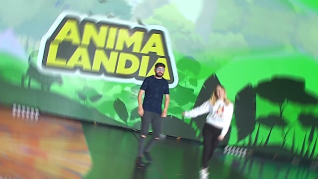 Episodio 24: Animalandia