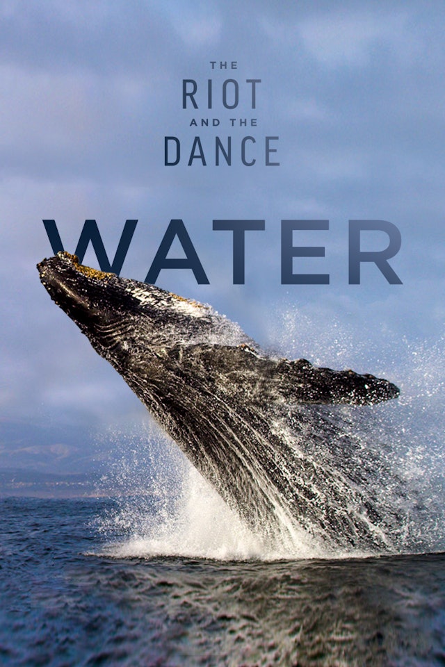 The Riot and the Dance: Water