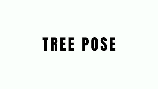Tree Pose Breakdown