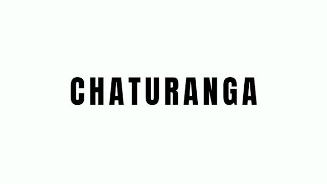 Chaturanga Breakdown 