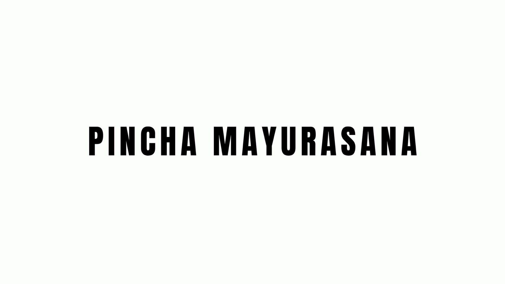 PINCHA MAYURASANA BREAKDOWN