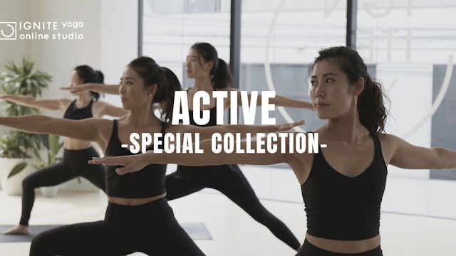 Active Flow Special Collection