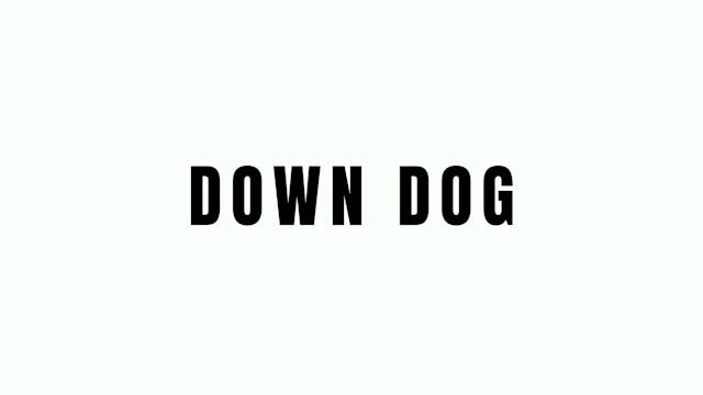 Down Dog Breakdown 