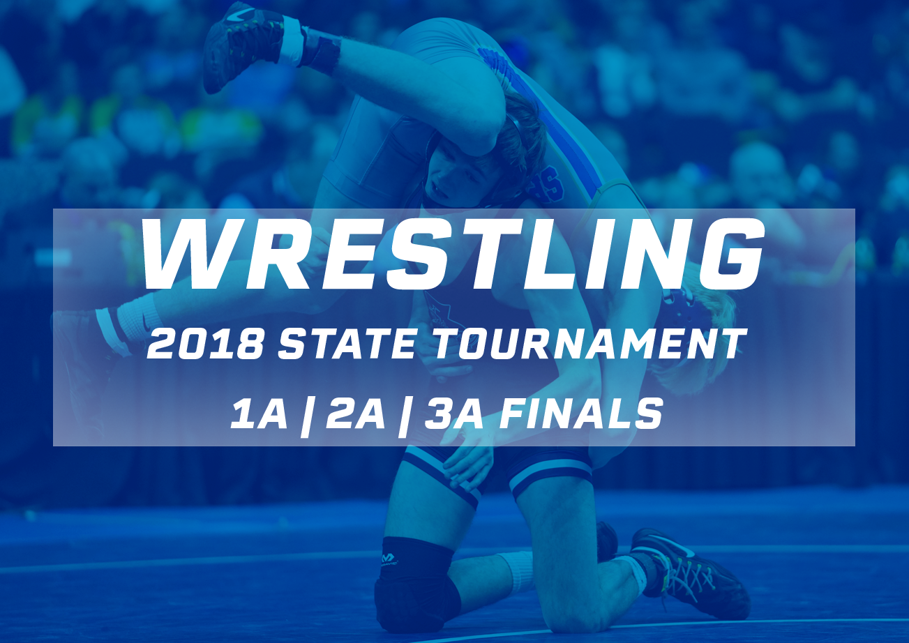 Wrestling: 2018, Finals
