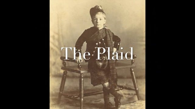 The Plaid