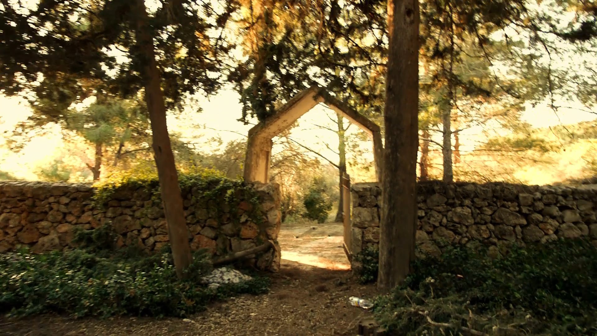 The Bentwich Syndrome