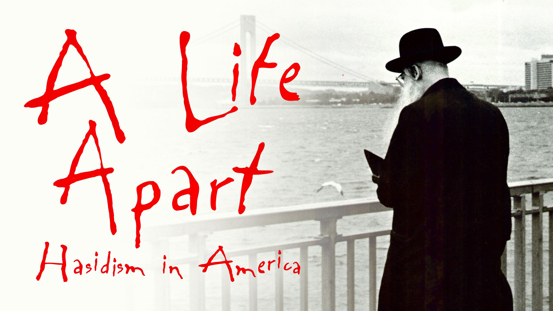 A Life Apart: Hasidism in America