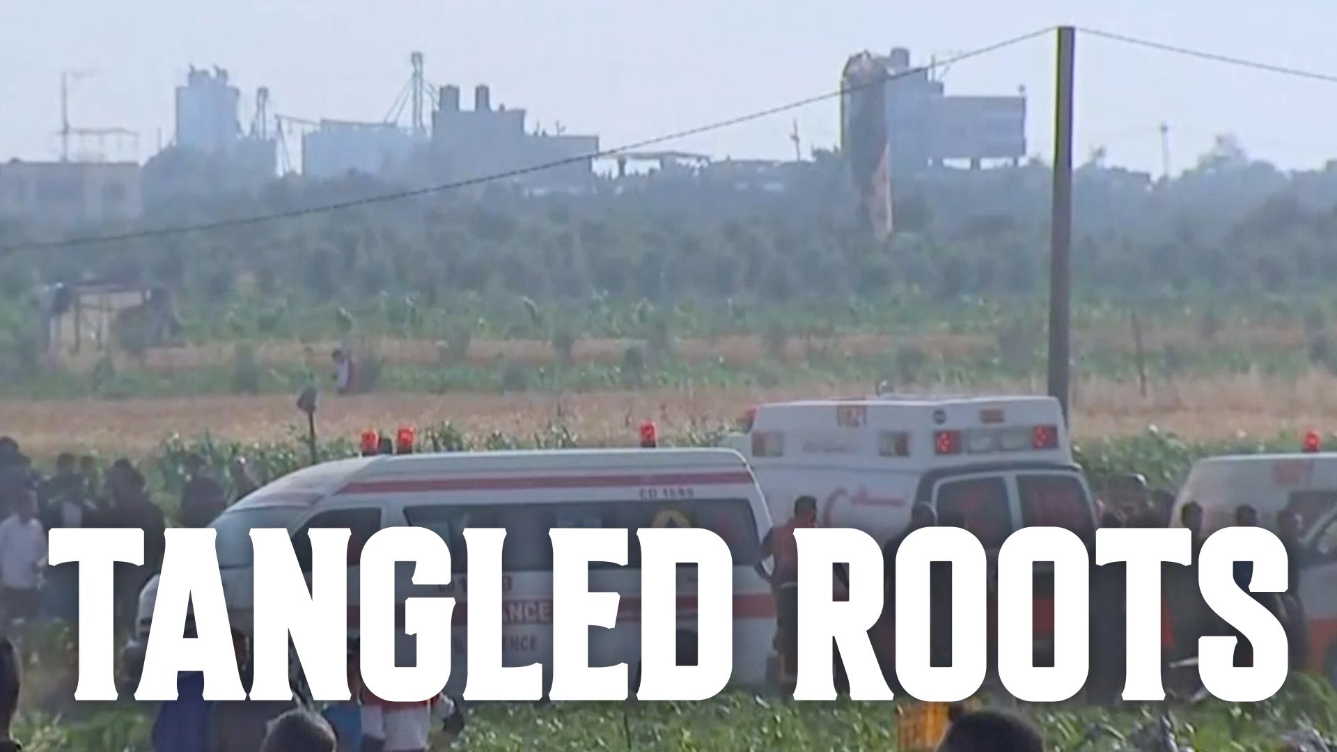 Episode 6 | Tangled Roots