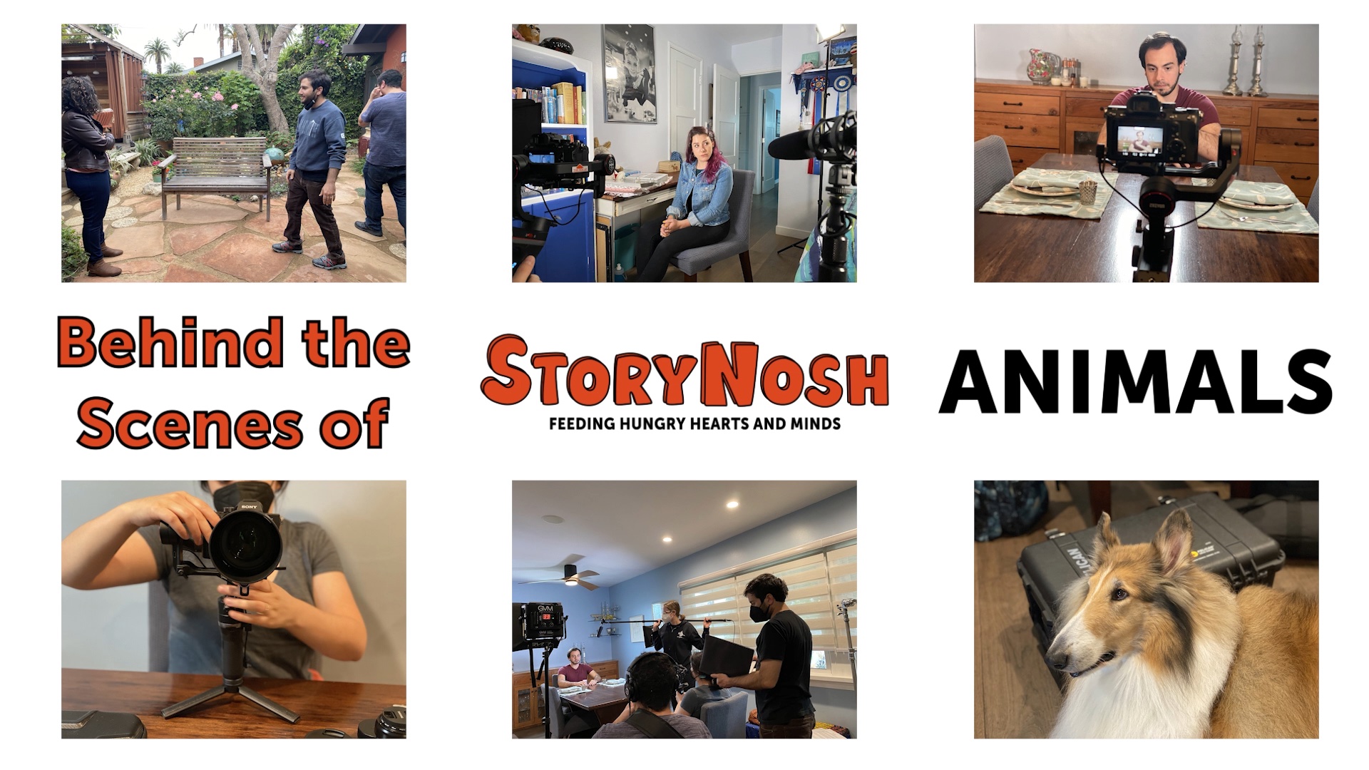 Behind-the-Scenes of StoryNosh: Animals | The Braid presents StoryNosh (Animals)