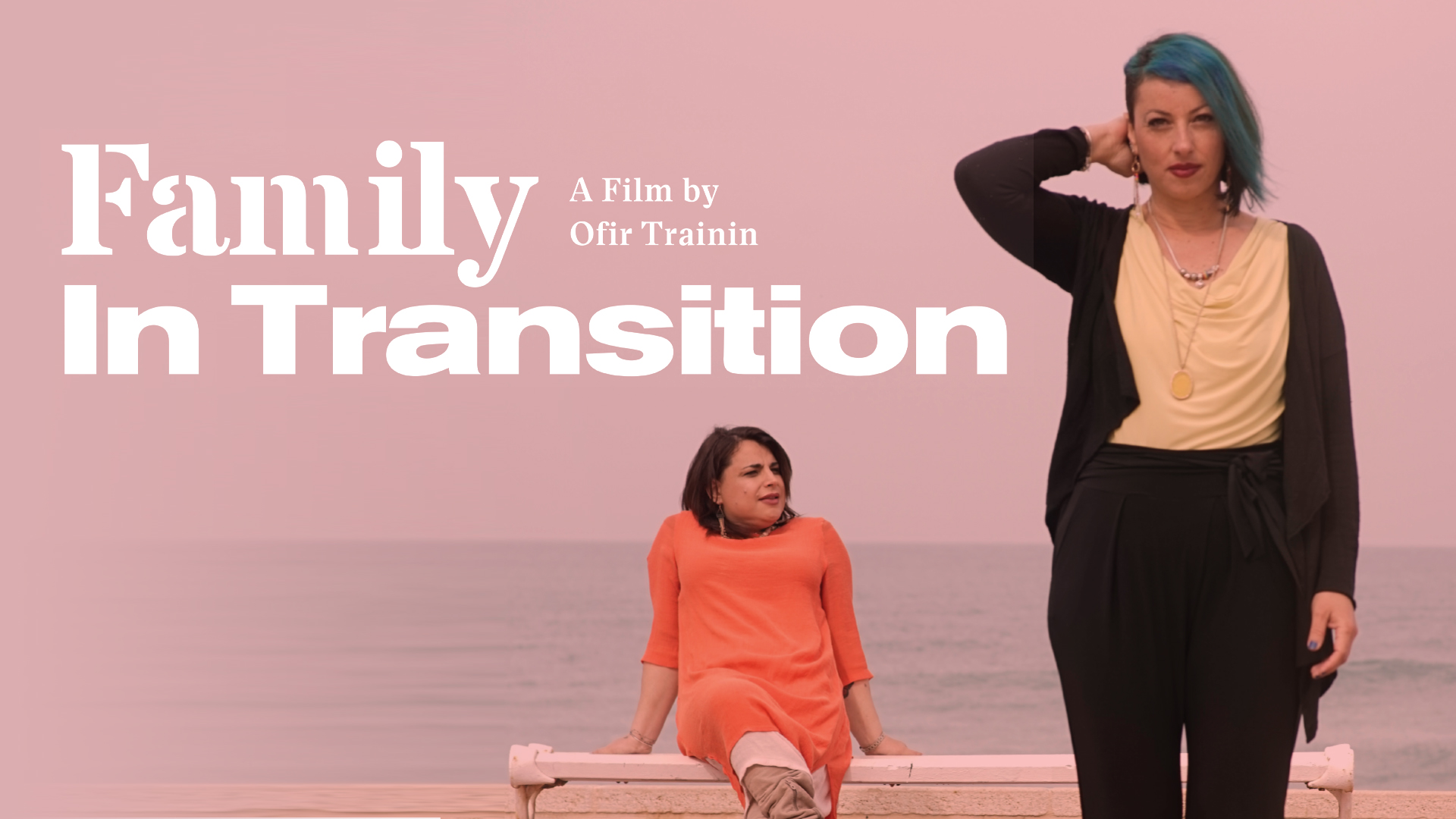 Family in Transition