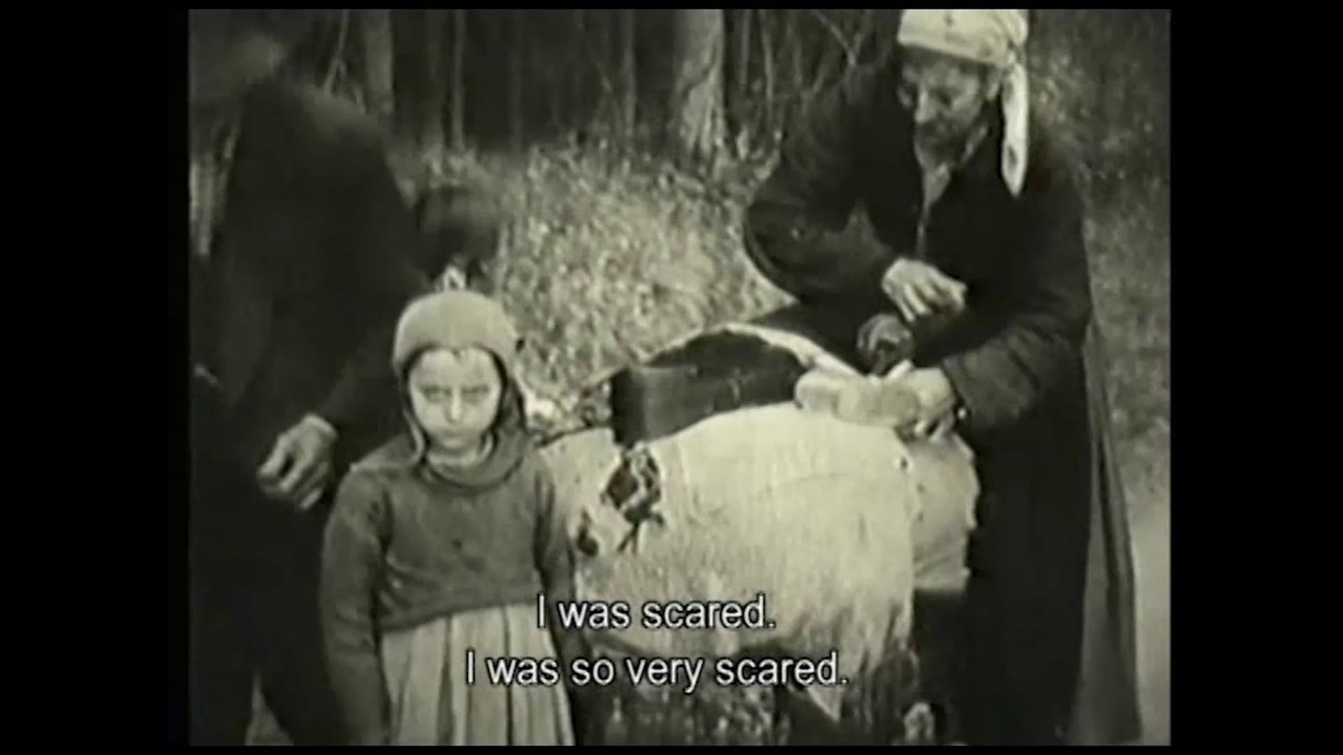 The Children of Teheran