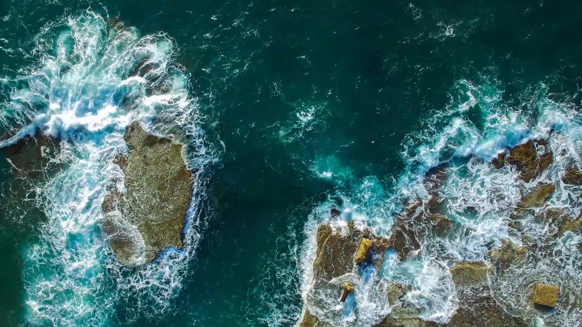 Avinu Malkeinu | The Shuk