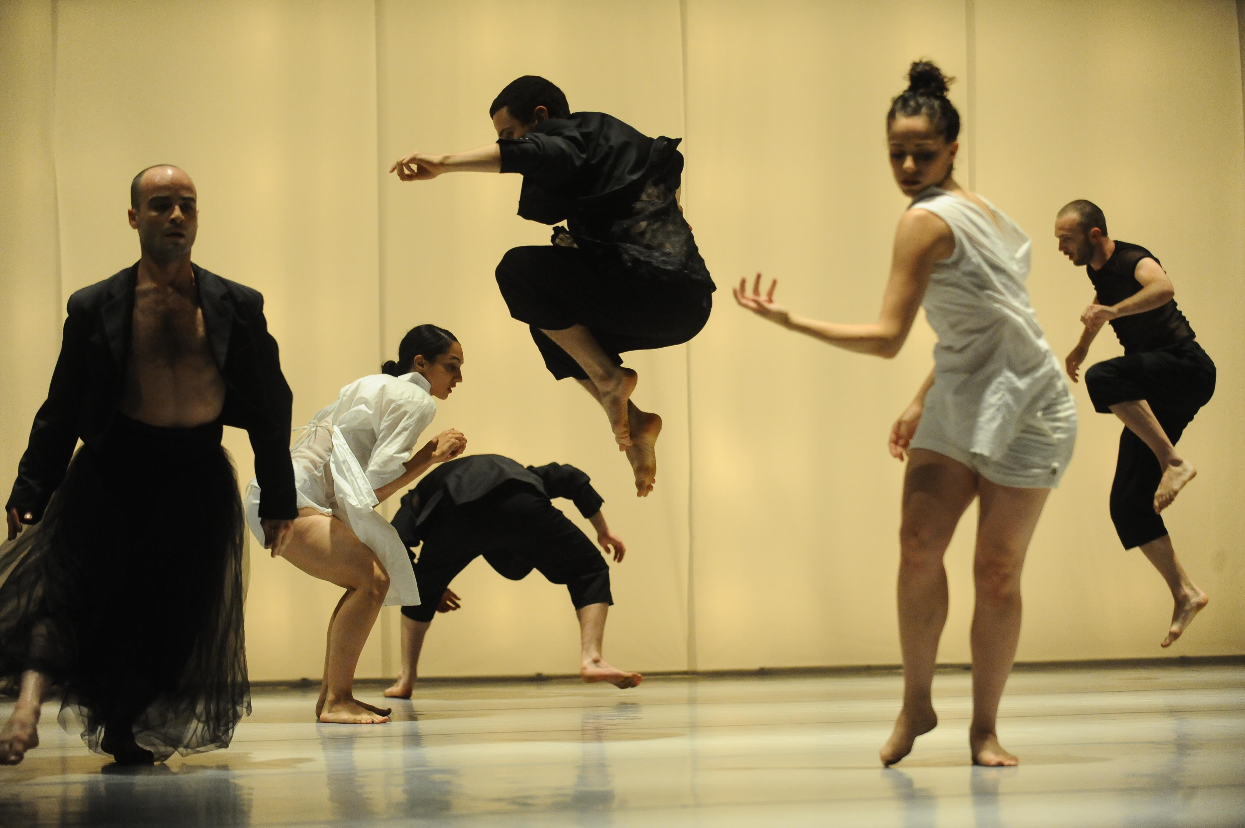 Null | Vertigo Dance Company