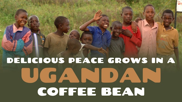 Delicious Peace Grows in a Ugandan Coffee Bean