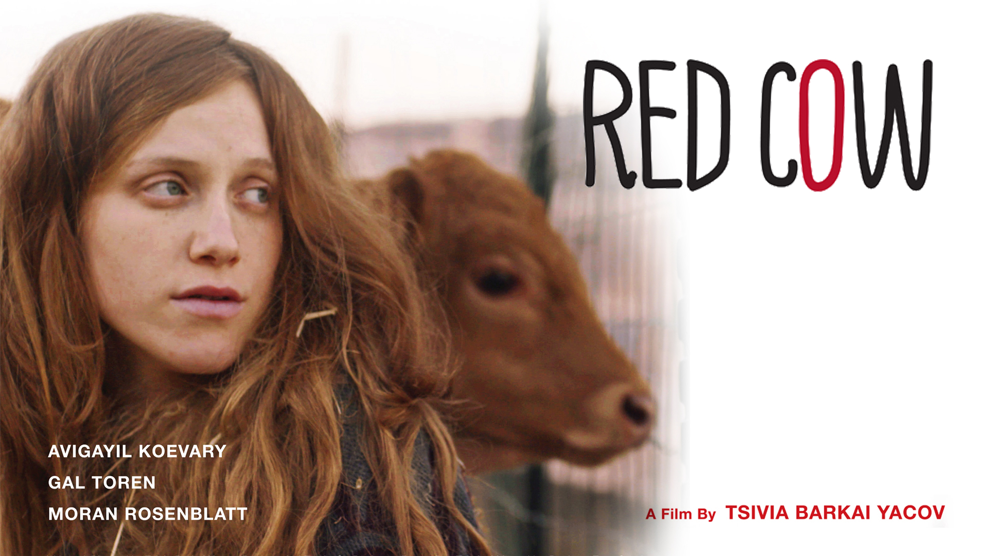 Red Cow