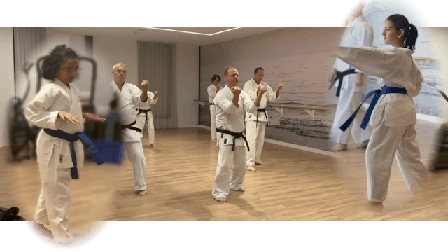 PVMA Karate