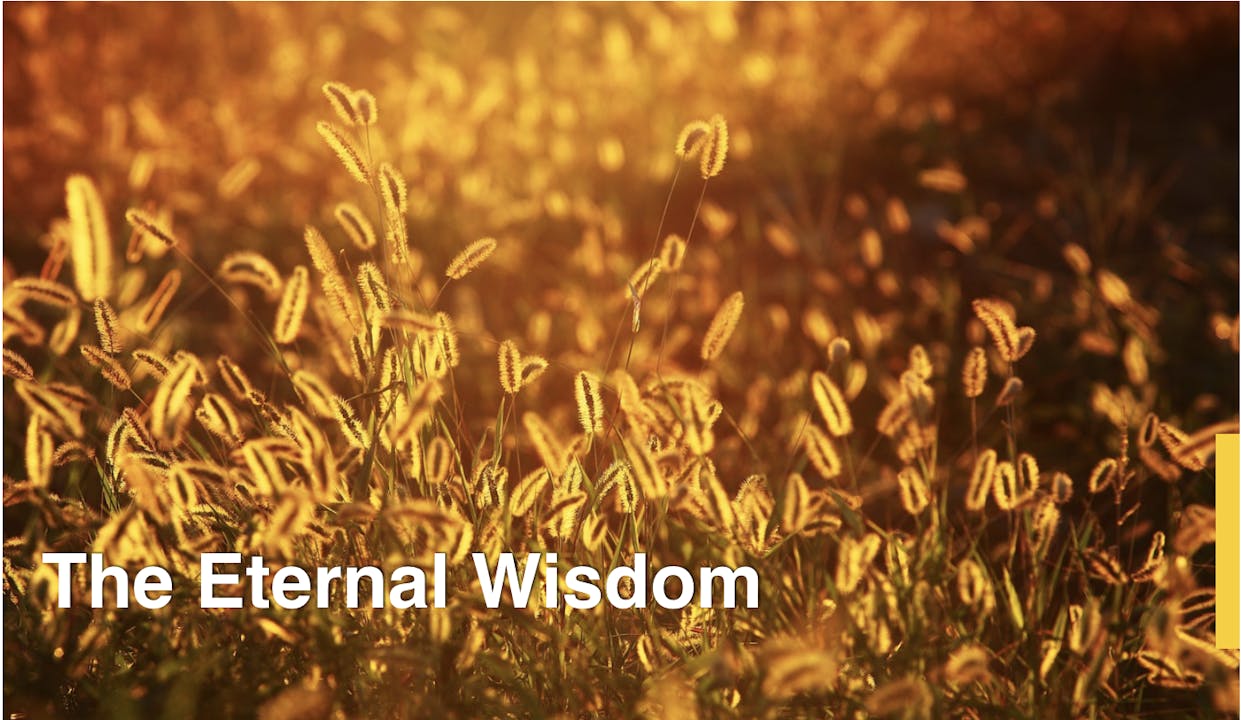 The Eternal Wisdom - FULL RETREAT