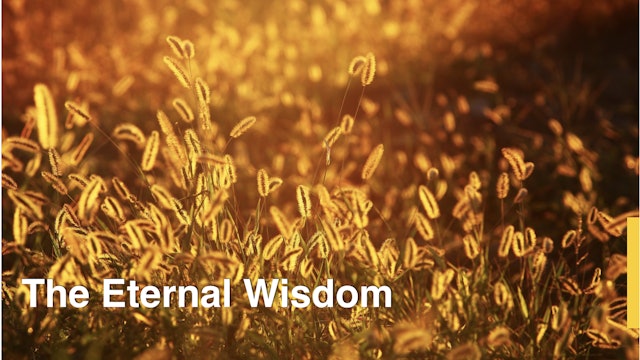 IKYA Retreat - The Eternal Wisdom