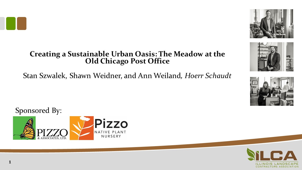 Creating a Sustainable Urban Oasis:  The Meadow at the Old Chicago Post Office