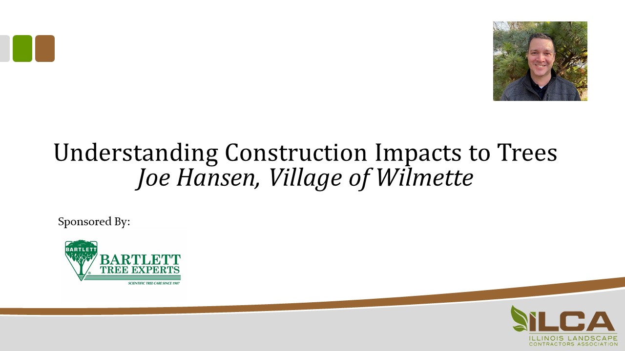 Understanding Construction Impacts to Trees