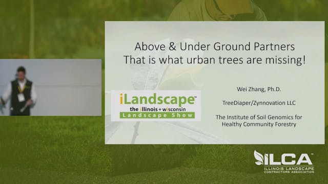 Above & Underground Partners: That's What is Missing in the Urban Environment