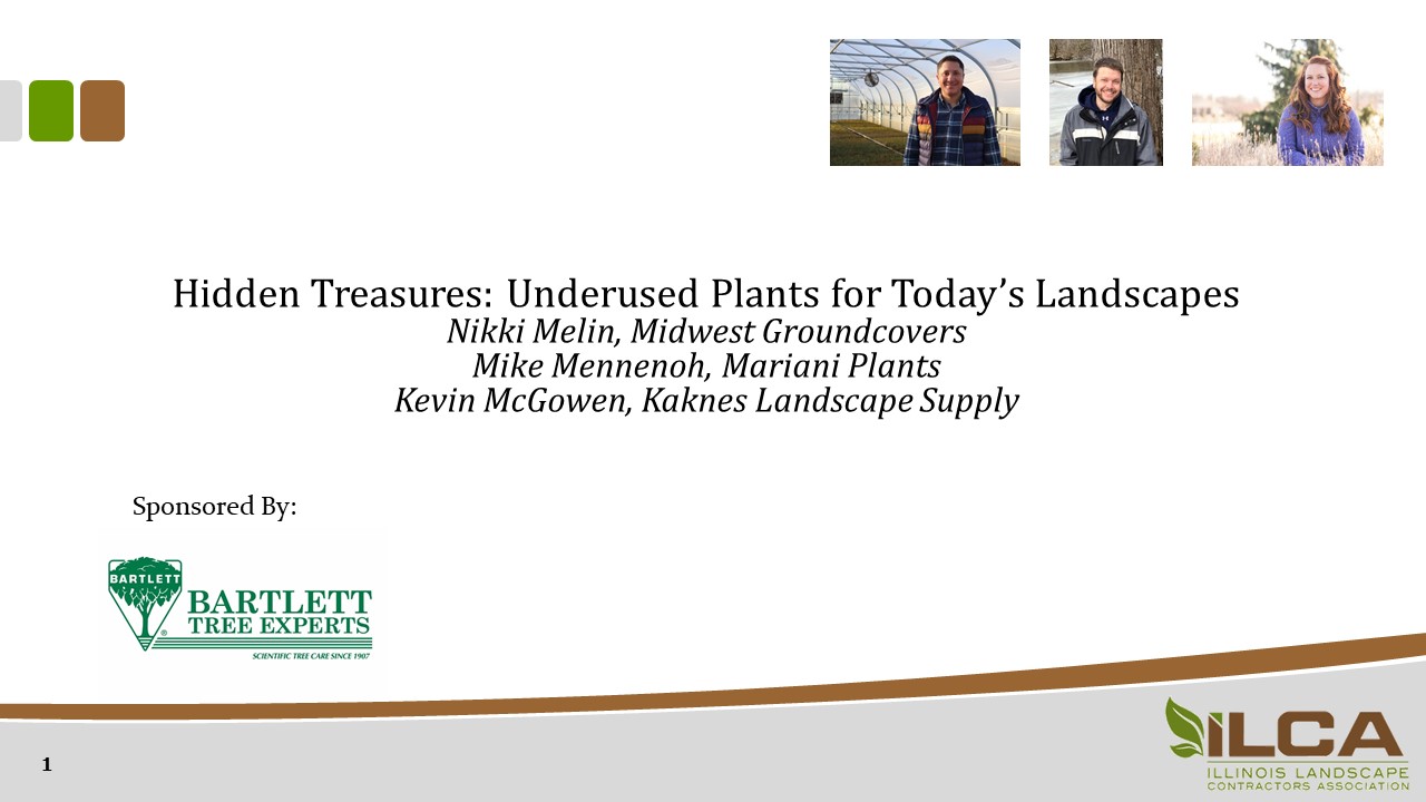 Hidden Treasures: Underused Plants for Today’s Landscapes