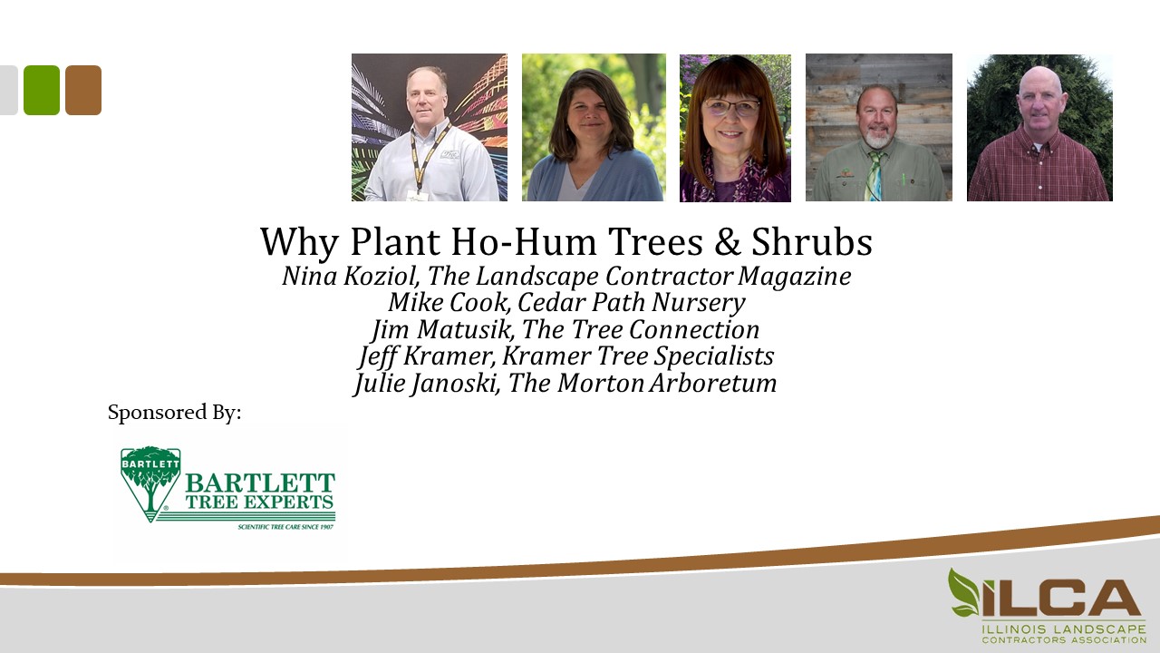 Why Plant Ho-Hum Trees & Shrubs
