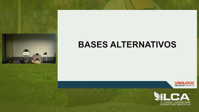 Bases Alternativas
